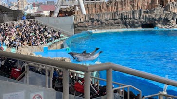 名古屋港水族館に投稿された画像（2022/3/20）