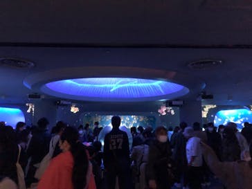 新江ノ島水族館に投稿された画像（2022/3/20）