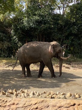 よこはま動物園ズーラシアに投稿された画像（2022/3/20）