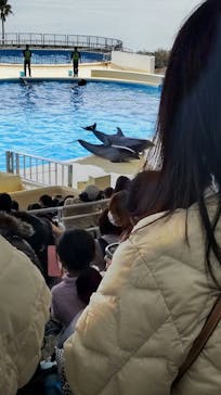 マリンワールド海の中道に投稿された画像（2022/3/20）