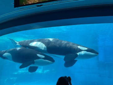 名古屋港水族館に投稿された画像（2022/3/20）