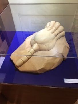 国立科学博物館　特別企画展「ポケモン化石博物館」に投稿された画像（2022/3/20）