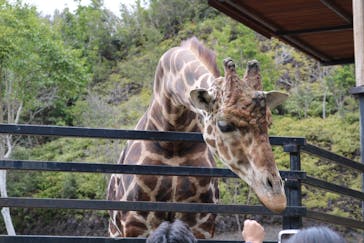 長崎バイオパークに投稿された画像（2022/3/20）