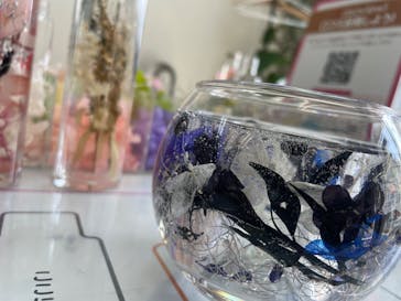 ずこうしつ〜sugamo〜に投稿された画像（2022/3/20）