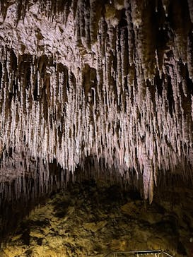 おきなわワールドに投稿された画像（2022/3/20）