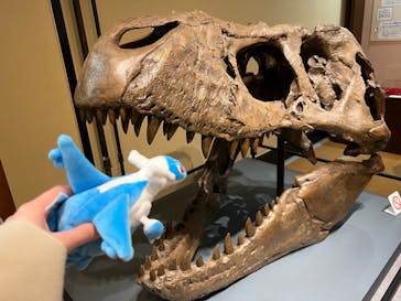 国立科学博物館　特別企画展「ポケモン化石博物館」に投稿された画像（2022/3/20）
