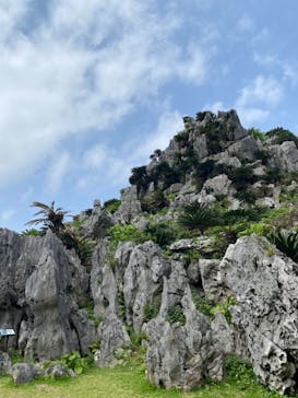 アスムイハイクスに投稿された画像（2022/3/20）