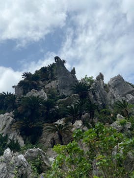 アスムイハイクスに投稿された画像（2022/3/20）