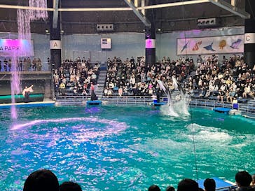 マクセル アクアパーク品川に投稿された画像（2022/3/20）