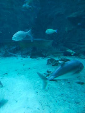 南知多ビーチランド＆南知多おもちゃ王国に投稿された画像（2022/3/20）