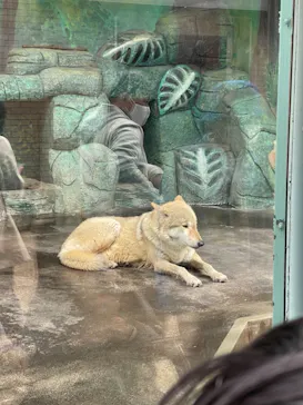 天王寺動物園に投稿された画像（2022/3/20）