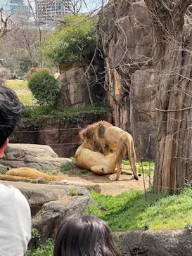 天王寺動物園に投稿された画像（2022/3/20）