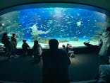 サンシャイン水族館に投稿された画像（2022/3/20）