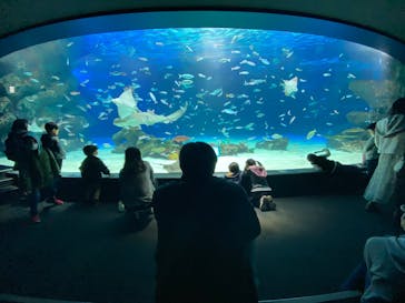 サンシャイン水族館に投稿された画像（2022/3/20）