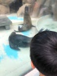 サンシャイン水族館に投稿された画像（2022/3/20）
