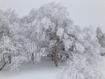 志賀高原マウンテンリゾートに投稿された画像（2022/3/20）