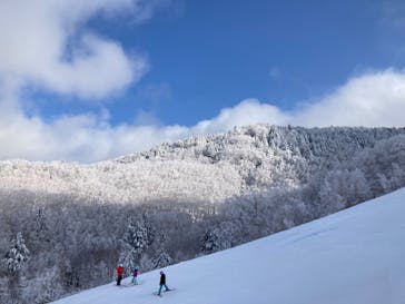 志賀高原マウンテンリゾートに投稿された画像（2022/3/20）