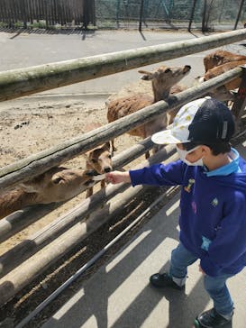 群馬サファリパークに投稿された画像（2022/3/20）