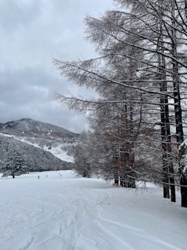 志賀高原マウンテンリゾートに投稿された画像（2022/3/20）