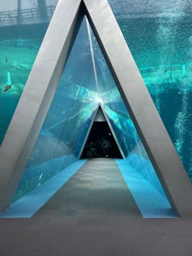 環境水族館アクアマリンふくしまに投稿された画像（2022/3/20）
