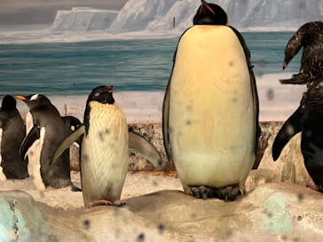 名古屋港水族館に投稿された画像（2022/3/20）