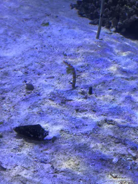 横浜・八景島シーパラダイスに投稿された画像（2022/3/20）