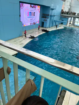 横浜・八景島シーパラダイスに投稿された画像（2022/3/20）