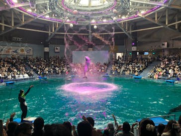 マクセル アクアパーク品川に投稿された画像（2022/3/20）