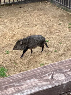 神戸どうぶつ王国に投稿された画像（2022/3/20）