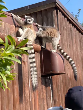 神戸どうぶつ王国に投稿された画像（2022/3/20）