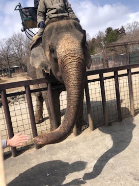 那須サファリパークに投稿された画像（2022/3/20）