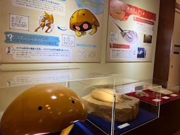国立科学博物館　特別企画展「ポケモン化石博物館」に投稿された画像（2022/3/20）