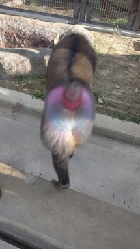 東武動物公園に投稿された画像（2022/3/20）