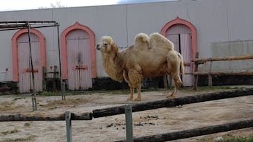 東武動物公園に投稿された画像（2022/3/20）