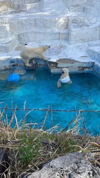 天王寺動物園に投稿された画像（2022/3/20）