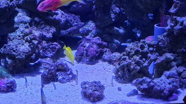 マクセル アクアパーク品川に投稿された画像（2022/3/20）