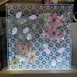 ずこうしつ〜sugamo〜に投稿された画像（2022/3/20）