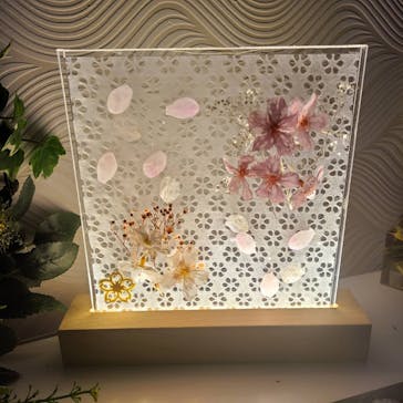 ずこうしつ〜sugamo〜に投稿された画像（2022/3/20）