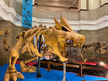 国立科学博物館　特別企画展「ポケモン化石博物館」に投稿された画像（2022/3/20）