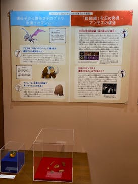 国立科学博物館　特別企画展「ポケモン化石博物館」に投稿された画像（2022/3/20）