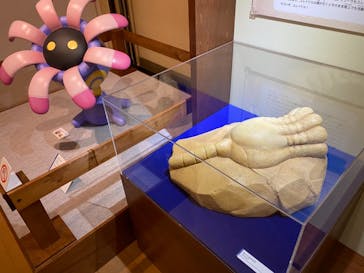 国立科学博物館　特別企画展「ポケモン化石博物館」に投稿された画像（2022/3/20）