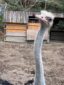 長崎バイオパークに投稿された画像（2022/3/20）