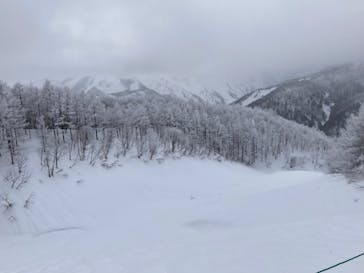 白馬岩岳スノーフィールドに投稿された画像（2022/3/20）