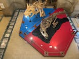 国立科学博物館　特別企画展「ポケモン化石博物館」に投稿された画像（2022/3/20）