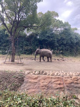 よこはま動物園ズーラシアに投稿された画像（2022/3/20）