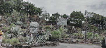 伊豆シャボテン動物公園に投稿された画像（2022/3/20）