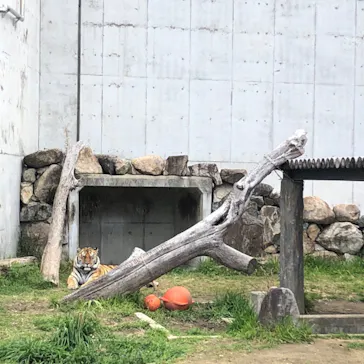 天王寺動物園に投稿された画像（2022/3/20）