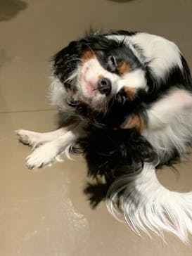 Moff animal world MARK IS みなとみらい店に投稿された画像（2022/3/20）