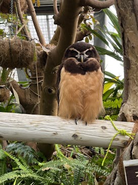 伊豆シャボテン動物公園に投稿された画像（2022/3/20）