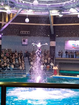 マクセル アクアパーク品川に投稿された画像（2022/3/20）